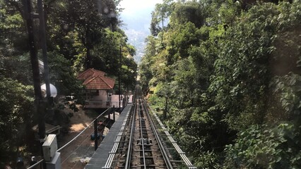 Fototapeta na wymiar Forest railway 
