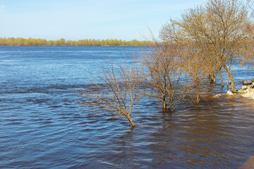 Bank of the Dnieper river and trees flooded - high water level in the rivers