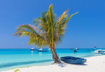 Palm tree and wooden boat on the shore of the Indian Ocean