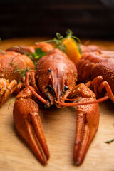 Boiled crayfish with lemon, dill and herbs on a wooden cutting board on blue wooden background. Crayfish dish