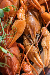 Boiled crayfish with lemon, dill and herbs on a wooden cutting board on blue wooden background. Crayfish dish