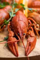 Boiled crayfish with lemon, dill and herbs on a wooden cutting board on blue wooden background. Crayfish dish