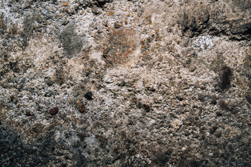 Concrete surface texture close-up