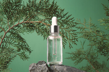 Glass dropper bottle with cosmetic oil, essential or serum on green background with thuja branches....
