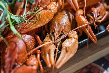 Boiled crayfish with lemon, dill and herbs on a wooden cutting board on blue wooden background. Crayfish dish