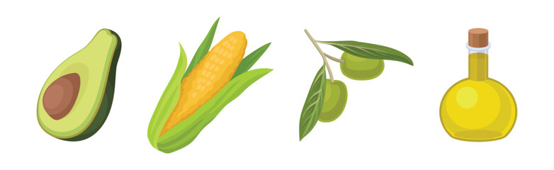 Avocado, Corn Cob, Olive and Oil in Jar Vector Set