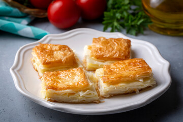 Delicious Turkish Tray pastry, Su boregi with cheese. Adana borek.