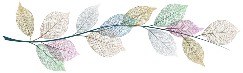 Beautiful background with leaves vein. Vector illustration.