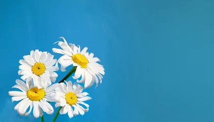 Deurstickers flower on a blue background © amirax545