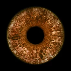 Foto op Plexiglas anti-reflex Brown eye iris - human eye © Aylin Art Studio