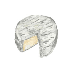brie cheese on white background
