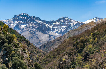 Sierra Nevada National Park Peaks (Mulhacén, Veleta) from Vereda de la Estrella. Granada, Spain.