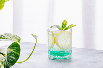 Cold refreshing summer drink with lemon and mint syrup