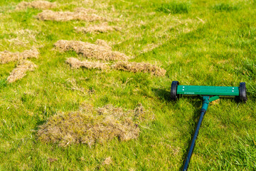 Removing dead grass after winter, spring care of grass, rural garden concept, Debris Left Over by...