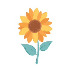 Cute sunflower with green leaves.  Vector illustration in flat style