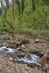 Spring view of Belasitsa Mountain, Bulgaria