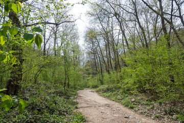 Spring view of Belasitsa Mountain, Bulgaria