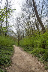 Spring view of Belasitsa Mountain, Bulgaria