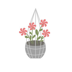 Hanging Flowers