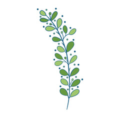 Green sprig of rosemary cartoon style, isolated vector icon. Graphic element for packaging, logo, for rosemary products.