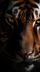 Close up to the Eyes of the TIger, National Geographic Shot, Generative AI