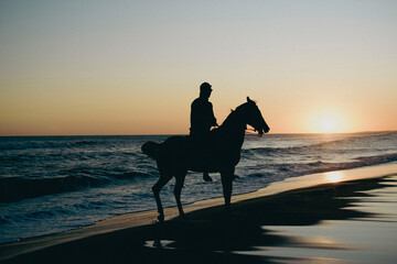 Silhouette of a rider on his horse walking on the seashore with the sunset of a summer afternoon on the beach in the background
