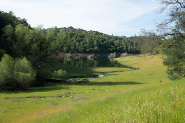 Fototapeta na wymiar Acorn Creek at Folsom Lake Along the Darrington Trail, California