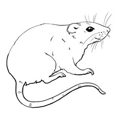 Vector image of a rat in profile with ears, long tail and paws. Line drawing. For printing coloring books, clothes, dishes, business cards and more. Mouse logo. Monochrome. 