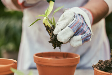 Gardening is how I relax. Shot of a unrecognizable woman planting her pot plant outside.