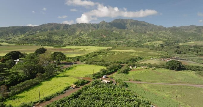 Banana tree plantation and bee farm apiary  from above