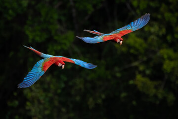 Image of Above the canopy printed on Printed Glass Basin Splashbacks