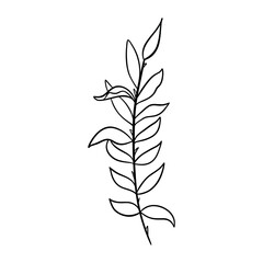 Digital illustration of a cute black outline doodle spring theme frame twig with leaves in scandinavian style. Print for clothes, poster, banner, postcard, web design, coloring.