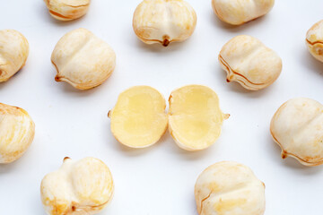 Toddy palm on white background.