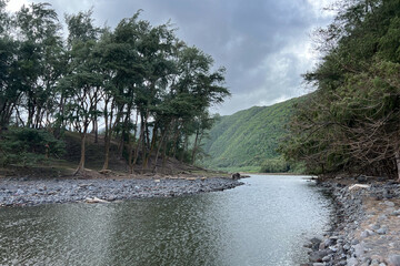 Hilo river bank landscape