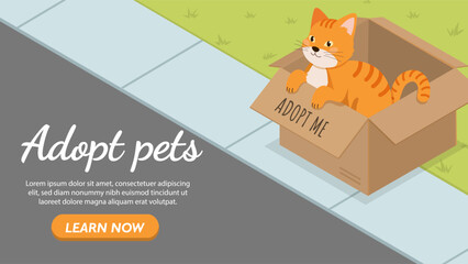 Adopt pets isometric