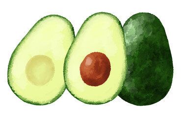 アボカドのイラスト　手描き　水彩風
