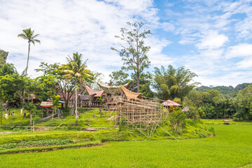 traditional houses of tana toraja in londa village, indonesia