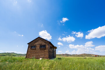 The wooden house is on the grassland, the blue sky and white clouds