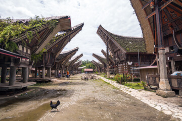 traditional houses of tana toraja in londa village, indonesia