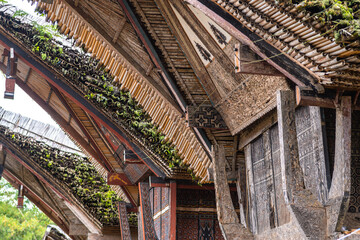 traditional houses of tana toraja in londa village, indonesia