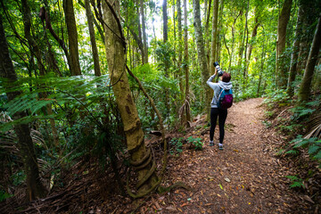Fototapeta na wymiar girl with long lens camera photographs birds of paradise in tropical rainforest in D'Aguilar National Park, Brisbane, Quensland, Australia