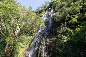  This stunning photo captures the natural beauty of the Pavuna waterfall in Botucatu, Brazil, nestled in the heart of a lush green forest. The image shows the crystal-clear waters cascading down the r