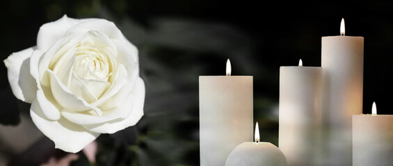 Funeral. White rose and burning candles on black background, banner design