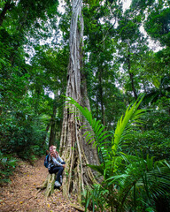 girl looks up and admires a tall powerful tree in the stunning lush rainforest -  D'Aguilar National Park, Maiala trail, Brisbane, Queensland, Australia