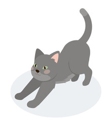 Isometric grey cat