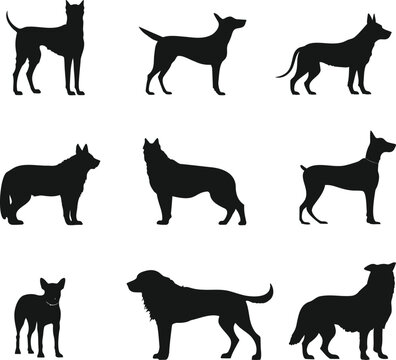dog silhouettes collection, side view , black and white 