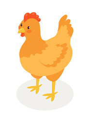 Isometric farm chicken concept