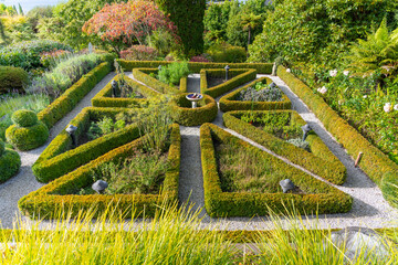 Landscape design manicured box hedge garden arrangement