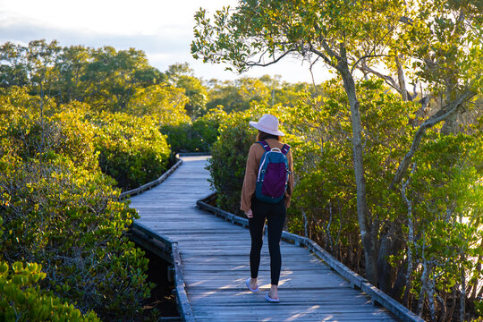 A beautiful girl in a hat walks along a wooden boardwalk and admires the lush mangrove forest on Nudgee beach, Brisbane, Queensland, Australia