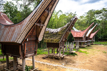 Fototapeta na wymiar traditional houses of tana toraja in londa village, indonesia
